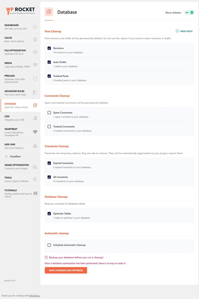 WP Rocket Database Optimization Settings